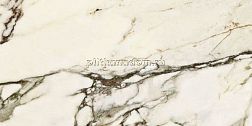 Neodom Splendida Calacatta Venato Polished Керамогранит 60x120 см
