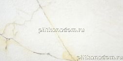 Stylnul (STN Ceramica) Lancelot 110-018-1 Gold Mt Rect Белый Матовый Ректифицированный Керамогранит 59,5х120 см