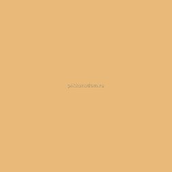 Creto Poly Mustard Желтый Матовый 30-10-4-15-00-33-4228 Керамогранит 20х20 см