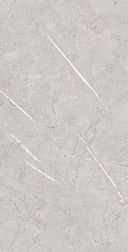 Fakhar Ottawa Light Gray Серый Глянцевый Керамогранит 50х100 см