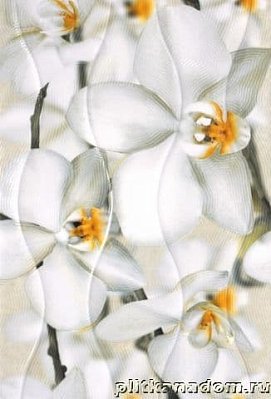 Керамин Энигма 3 Тип 1 Крупный цветок Настенная плитка 27,5х40