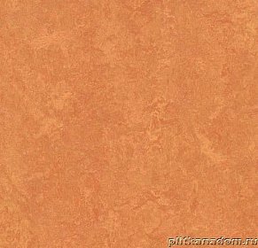 Forbo Marmoleum Fresco 3825 African desert Линолеум натуральный 2 мм