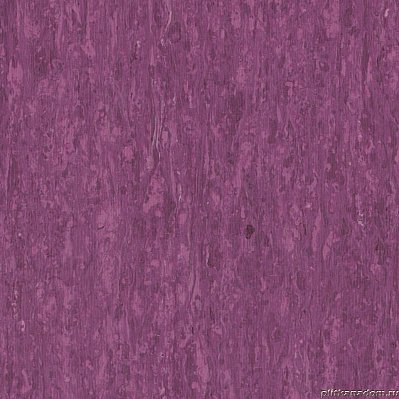 Tarkett IQ Optima Purple 0255 Виниловая плитка 610х610