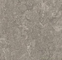 Forbo Marmoleum Real 3146 serene grey Линолеум натуральный 2 мм