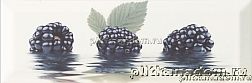 Monopole Fresh 10x30 Mora (ежевика) Decor Декор 10x30 см