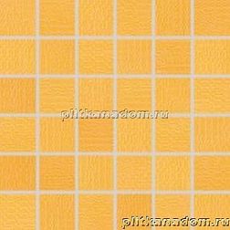 Rako Trinity WDM05094 Мозаика 30x30 (5х5) см