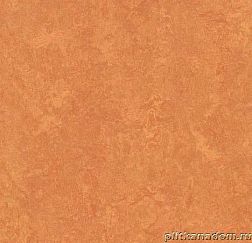Forbo Marmoleum Fresco 3825 African desert Линолеум натуральный 2,5 мм