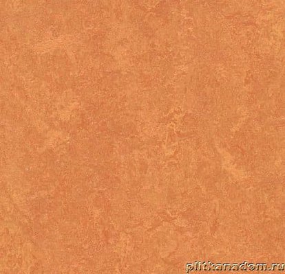 Forbo Marmoleum Fresco 3825 African desert Линолеум натуральный 2,5 мм