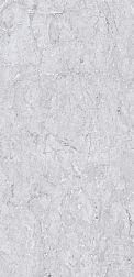 Flavour Granito Sublime Nature Glossy Серый Полированный Керамогранит 60x120 см
