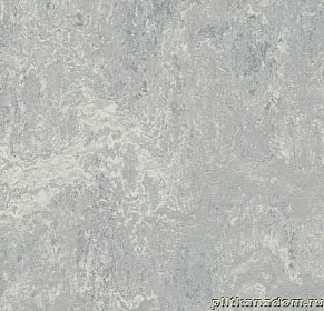 Forbo Marmoleum Decibel 262135 dove grey Линолеум натуральный 3,5 мм