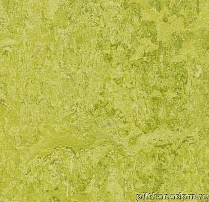 Forbo Marmoleum Real 3224 chartreuse Линолеум натуральный 2,5 мм