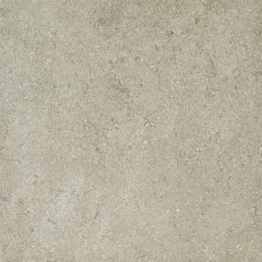 Apavisa Limestone FOSSIL GRIS NATURAL Керамогранит 44,63х44,63 см