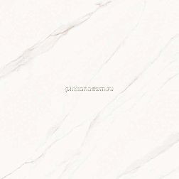 Primavera Allure Керамогранит PR142 Light Polished 60x60