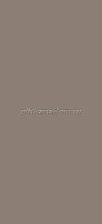 Estima Solutions Solid Color Taupe TM05 Коричневый Неполированный Ректифицированный Керамогранит 100х300 см