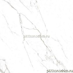 RHS Ceramiche (Rondine group) Canova Statuario Rett Керамогранит 60х60 см