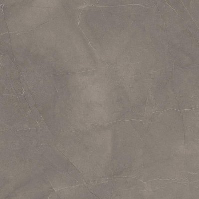 Laparet Splash Grey Серый Матовый Сатинированный Карвинг Керамогранит 60х60 см