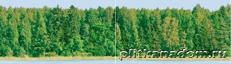 CeraDim Декоративные элементы Dec Forest Panno Панно (из 2-х шт) 25х90 см