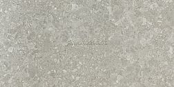 Pamesa Ceramica Marbles Ceppo Gris Керамогранит полированный 60х120 см