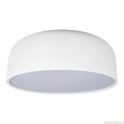 10201/480 White Потолочный светильник LOFT IT Axel