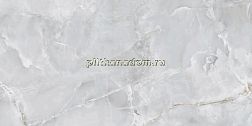 Ecoceramic Eternal Pearl 004 PL Серый Полированный Керамогранит 60x120 см