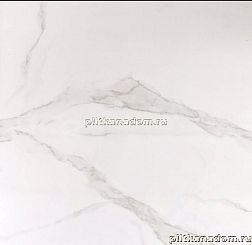 Bonaparte Керамогранит T66063 High Polich Серый Полированный Керамогранит 60х60