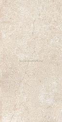 Fakhar Brooklyn Beige Бежевый Матовый Керамогранит 60х120 см