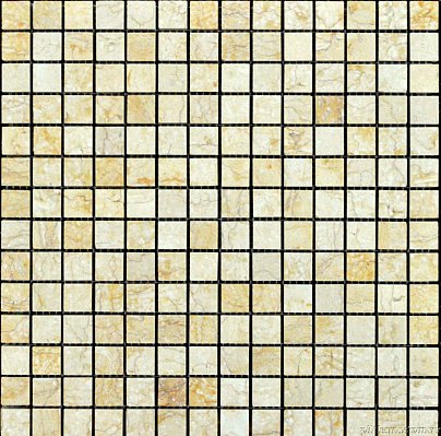 Tonomosaic Мозаика из камня CFS 871-15P Бежевая Полированная Мозаика 30х30 (1,5х1,5) см