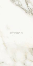 Сeramiche Ricchetti Marble Boutique Calacatta White Lux Белый Полированный Керамогранит 59,4x119 см