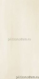 Paradyz Domus Beige Настенная плитка 30х60 см