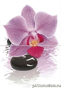 Пиастрелла Бали 5 16-005-п Орхидея фиолетовая Панно 40х30 (из 2-х плиток) см