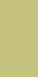 Fakhar Monocolor Yellow Желтый Матовый Керамогранит 60х120 см