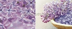 Ibero Charme Decor Dreams A Декор 20х50 см