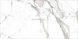Global Tile Victory 6260-0217 Белый Керамогранит 30x60