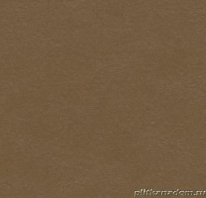 Forbo Marmoleum Walton Cirrus 3357 leather Линолеум натуральный 2,5 мм