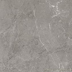 Laparet Escada SG169000N Серый Матовый Керамогранит 40,2х40,2 см