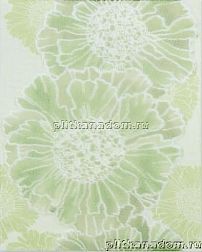 Rako Stella WITGY352 Декорр 20x25 см