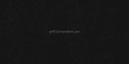 Goldis Tile Rio A0YB QA0R Black Rect Черный Матовый Ректифицированный Керамогранит 59,7x119,8 см