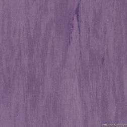 Tarkett Standart plus Purple 0918 Линолеум 2 м