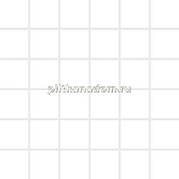 Polcolorit Cristal DS-Cristal Bianco Mosaic C Мозаика 30х30 см