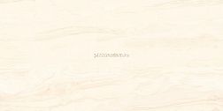 Realistik Индия Brizzo Ivory Carving RS Керамогранит 60x120 см