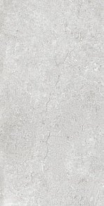 Fakhar Brooklyn Light Gray Серый Матовый Керамогранит 60х120 см
