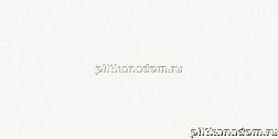 Rako Up WAKV4000 Obklfdacka-kalibrovana (System) Настенная плитка 30x60 см