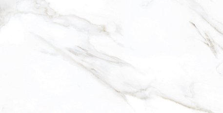Realistik Индия Laxveer Ceramic Aura Statuario Glossy Белый Полированный Керамогранит 60x120 см