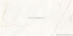 Navarti Massa White Керамогранит 60x120 см