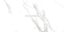 Neodom Splendida Statuario Irish Grey Polished Белый Полированный Керамогранит 60x120 см
