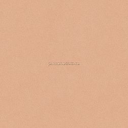 Bardelli Colore&Colore В1 Настенная плитка 20x20 см