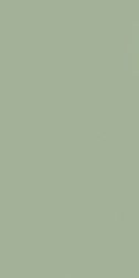 Paradyz Feelings Green Зеленая Матовая Настенная плитка 29,8x59,8 см
