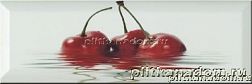 Monopole Fresh 10x30 Cereza (вишня) Decor Декор 10x30 см