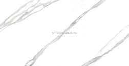 Global Tile Carrara Bronze GT120606503PR Белый Керамогранит 60x120