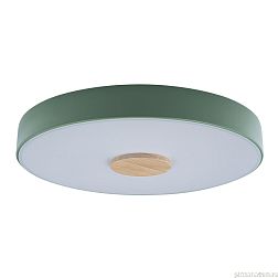 10003/24 Green Потолочный светильник LOFT IT Axel